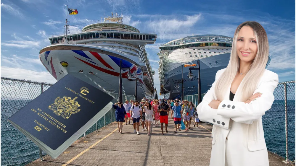 Türkler, internetten vatandaşlık alıp 156 ülkeye vizesiz uçuyor