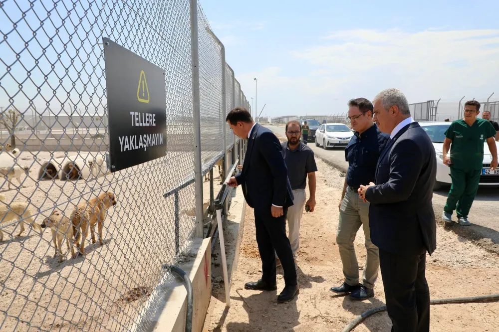 Vali Akın Karatay Hayvan bakım evine hayran kaldı